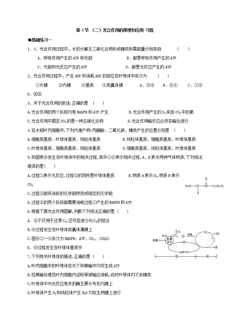 5.4.2 光合作用与能量转化  光合作用的原理和应用 习题【新教材】人教版（2019）高中生物必修一第1页