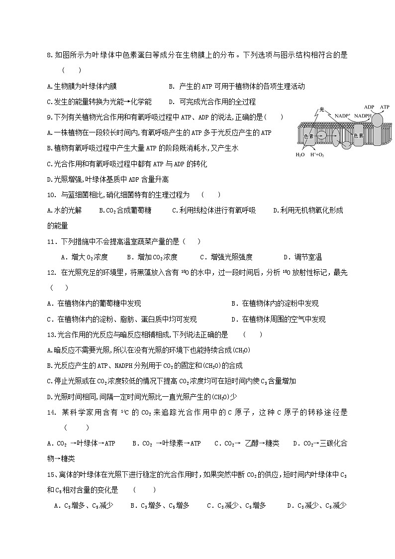 5.4.2 光合作用与能量转化  光合作用的原理和应用 习题【新教材】人教版（2019）高中生物必修一第2页