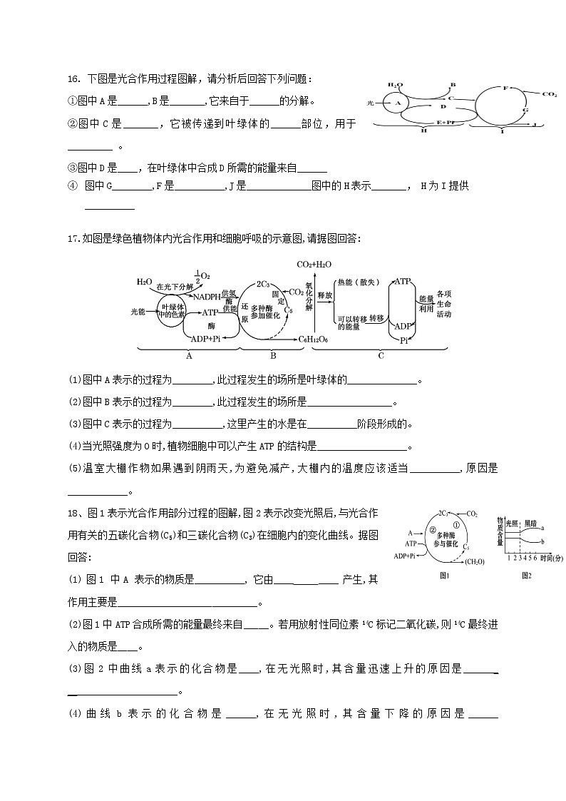 5.4.2 光合作用与能量转化  光合作用的原理和应用 习题【新教材】人教版（2019）高中生物必修一第3页