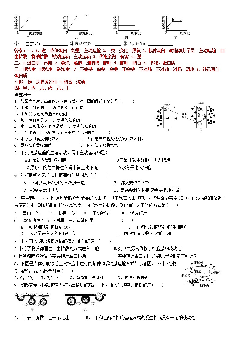 4.2 主动运输与胞吞、胞吐  学案【新教材】人教版（2019）高中生物必修一第2页