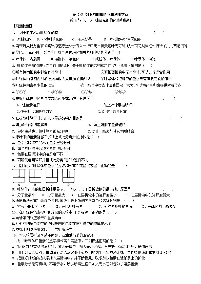 5.4.1 光合作用与能量转化 捕获光能的色素和结构 习题【新教材】人教版（2019）高中生物必修一01