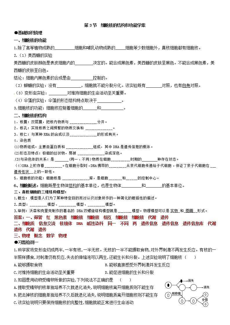 3.3 细胞核的结构和功能  学案【新教材】人教版（2019）高中生物必修一01