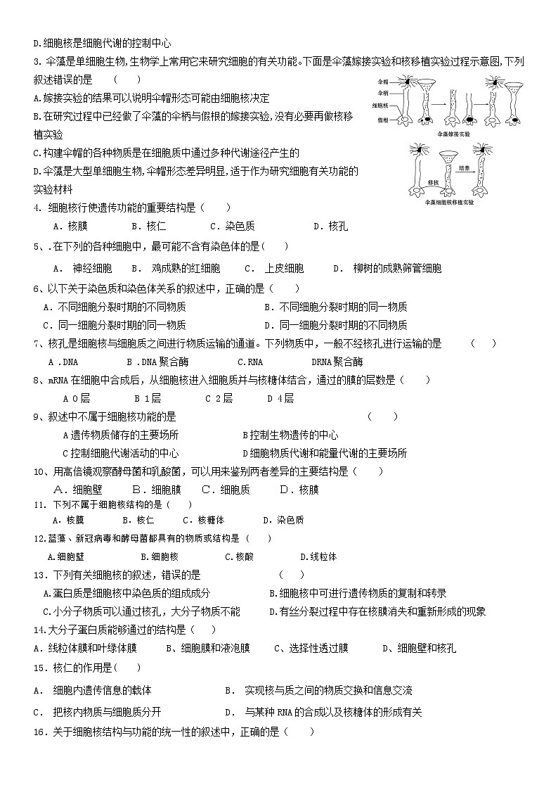 3.3 细胞核的结构和功能  学案【新教材】人教版（2019）高中生物必修一02
