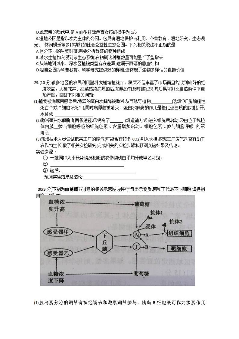 广东省梅州市2020届高三6月总复习质检二（二模）生物试题含答案02