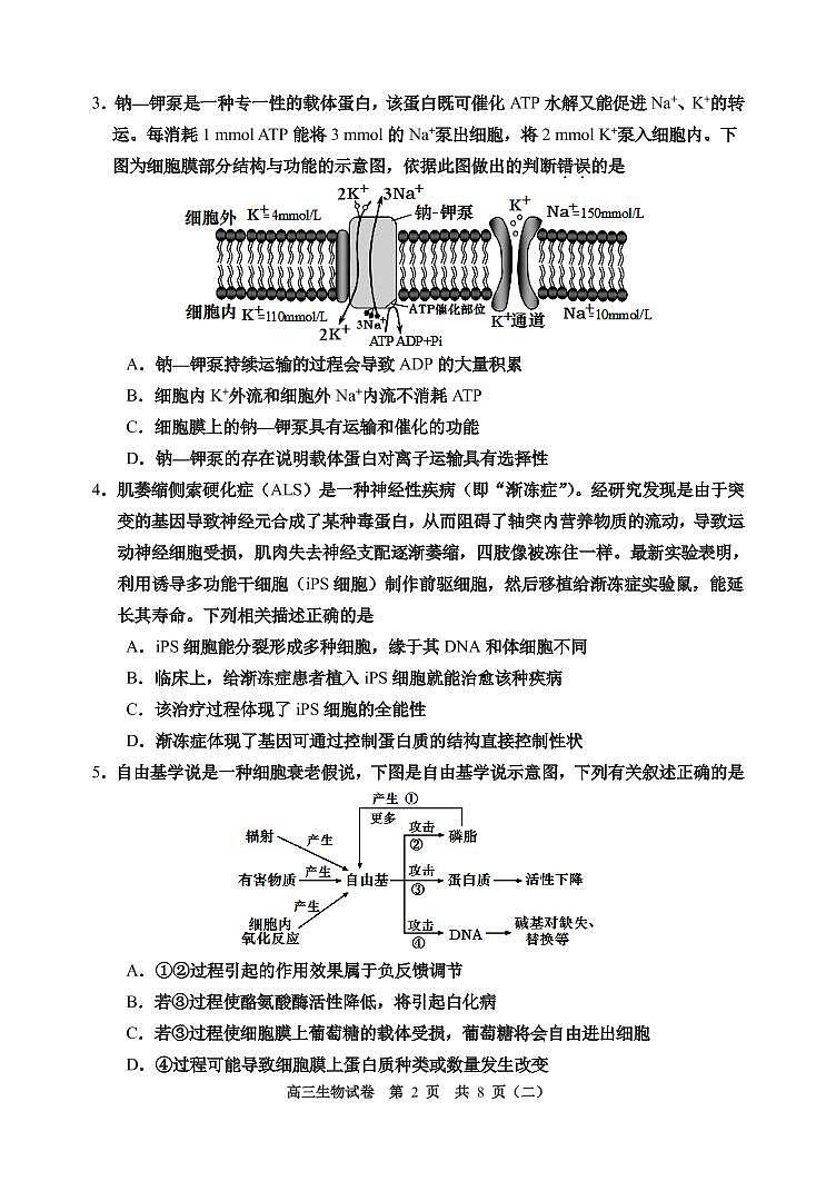 天津市河西区2020届高三总复习质量调查二（二模）生物试题含答案第2页