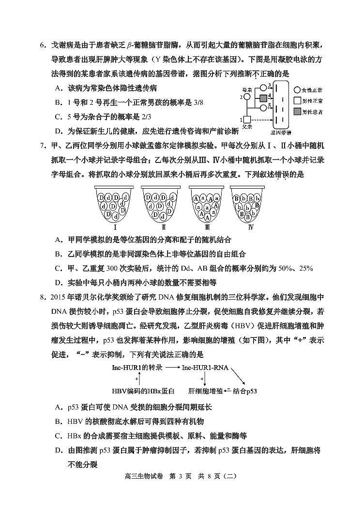 天津市河西区2020届高三总复习质量调查二（二模）生物试题含答案第3页