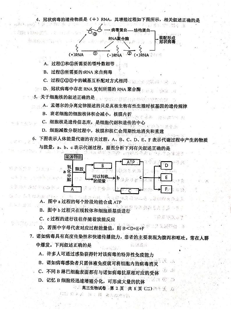 天津河西区2021届高三下学期4月总复习质量调查二（二模）生物试卷含答案第2页