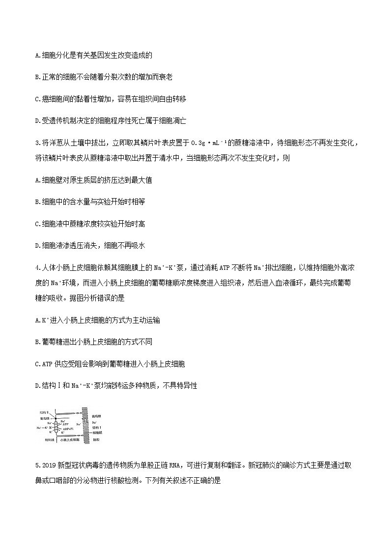 2021届广东省茂名高三二模生物试卷及答案02