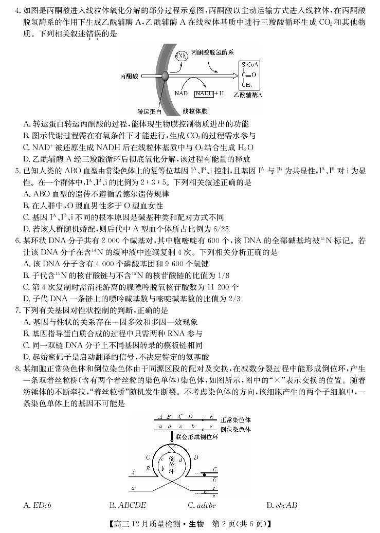 2022届河南省九师联盟高三上学期12月质量检测（老高考）生物试题 PDF版02