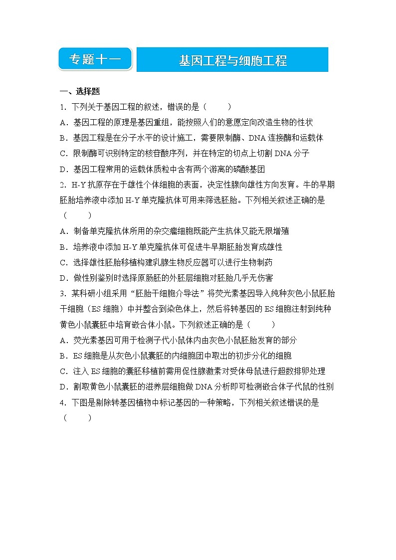 【原创】2022届高三二轮专题卷 生物（十一） 基因工程与细胞工程 学生版第1页
