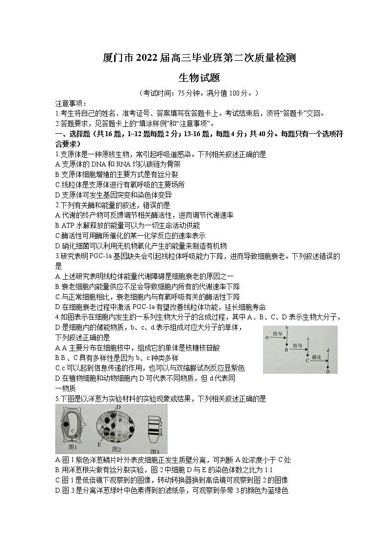 福建省厦门市2022届高三下学期3月第二次质量检测（二模） 生物 Word版含答案01