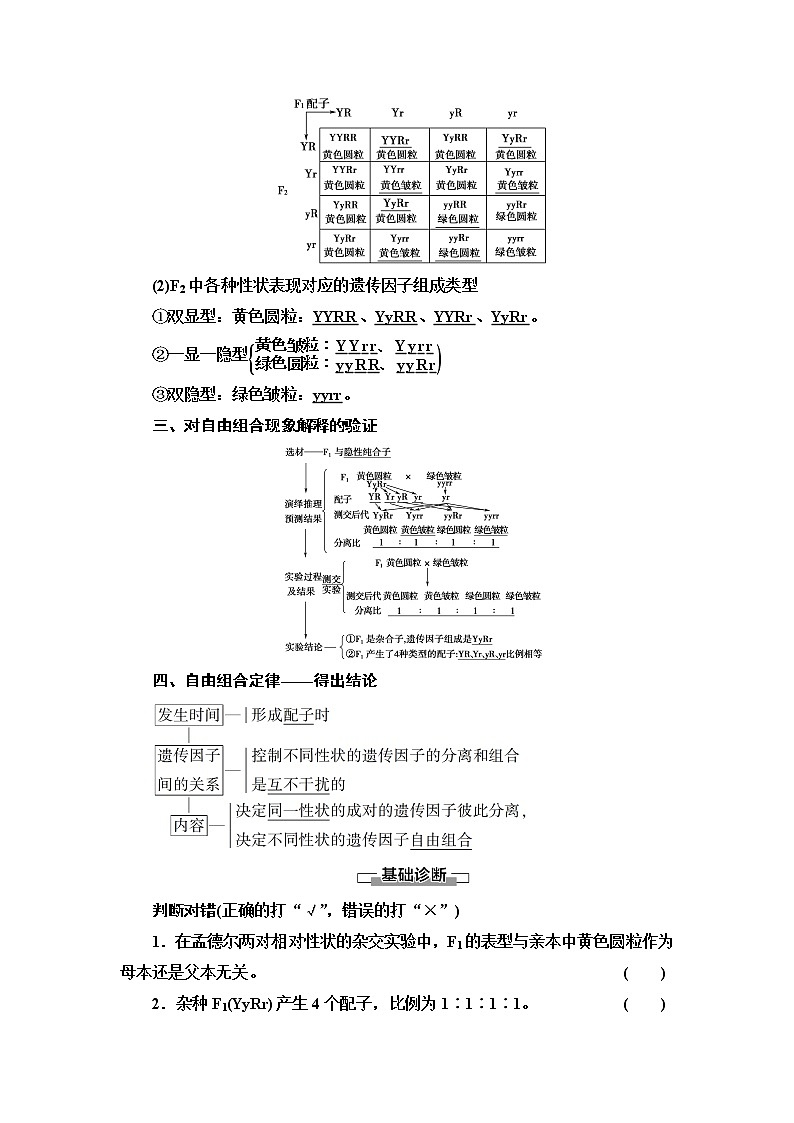 2021-2022学年高中生物新人教版必修第二册 第1章 第2节 第1课时 两对相对性状的杂交实验与自由组合现象的解释和验证 学案第3页
