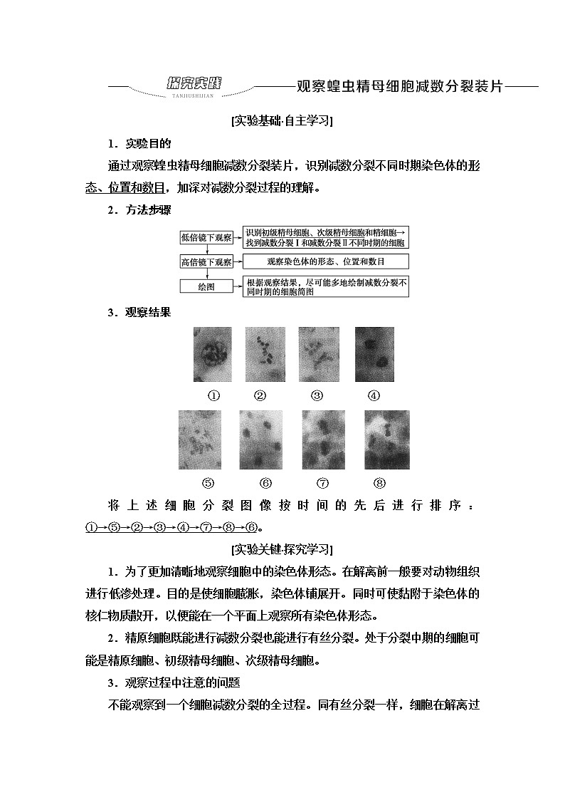2021-2022学年高中生物新人教版必修第二册 第2章 第1节 第1课时 探究实践 观察蝗虫精母细胞减数分裂装片 学案第1页