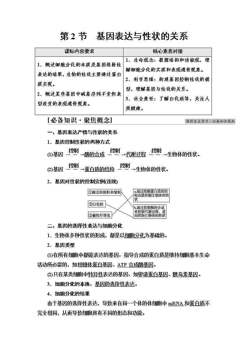 2021-2022学年高中生物新人教版必修第二册 第4章 第2节 基因表达与性状的关系 学案第1页