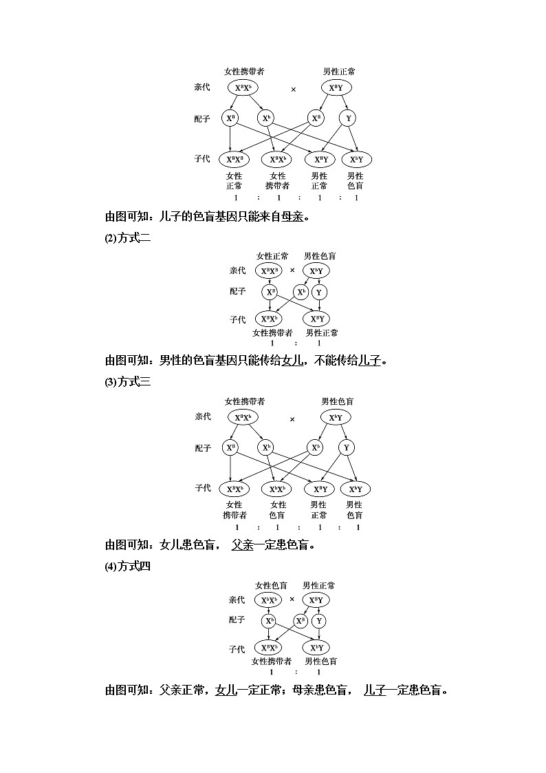 2021-2022学年高中生物新人教版必修第二册 第2章 第3节 伴性遗传 学案第2页
