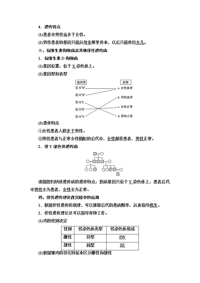 2021-2022学年高中生物新人教版必修第二册 第2章 第3节 伴性遗传 学案第3页