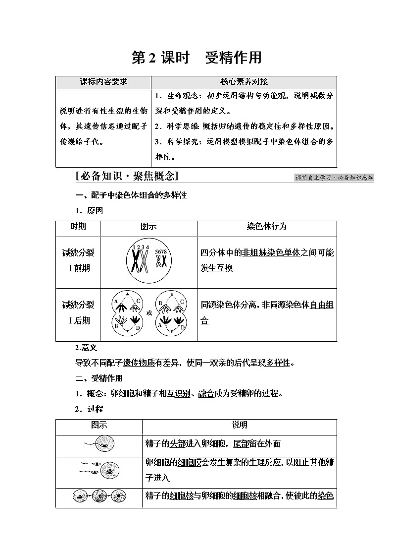 2021-2022学年高中生物新人教版必修第二册 第2章 第1节 第2课时 受精作用 学案第1页