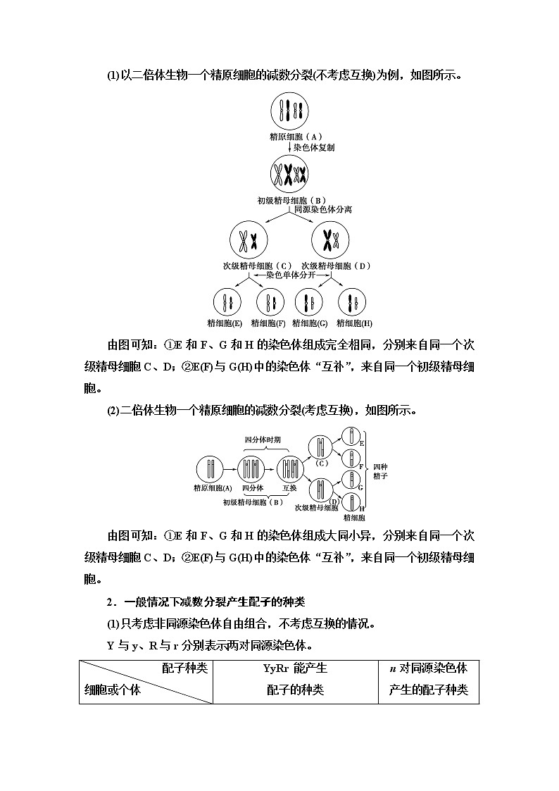 2021-2022学年高中生物新人教版必修第二册 第2章 第1节 第2课时 受精作用 学案第3页