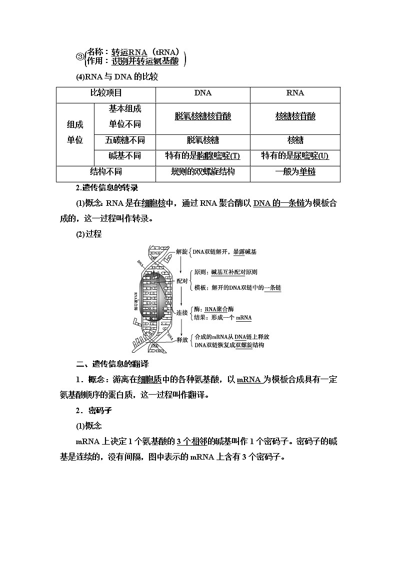 2021-2022学年高中生物新人教版必修第二册 第4章 第1节 基因指导蛋白质的合成 学案02