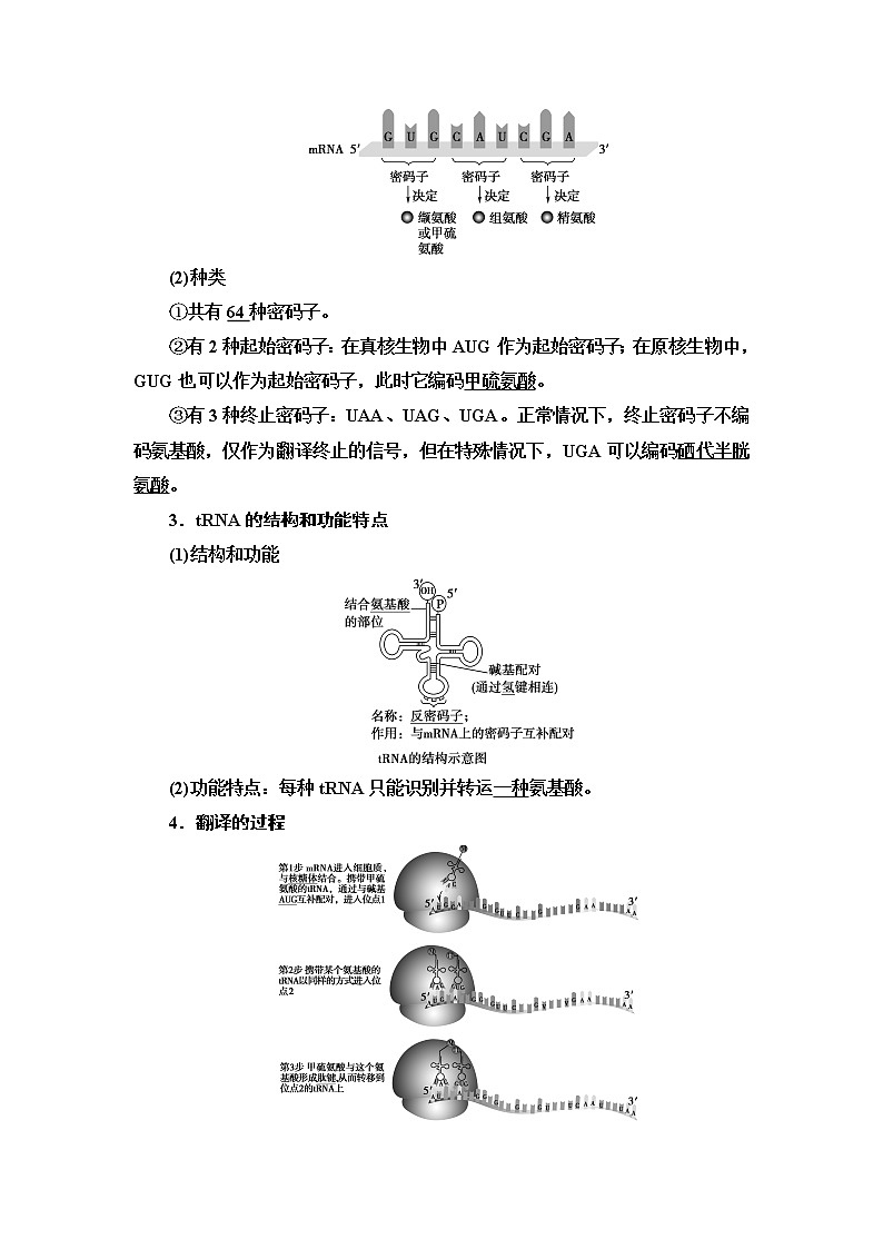 2021-2022学年高中生物新人教版必修第二册 第4章 第1节 基因指导蛋白质的合成 学案03