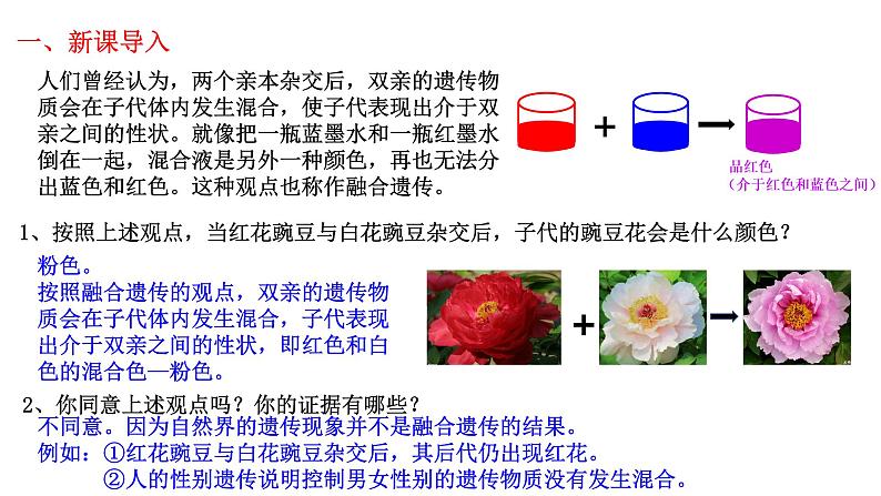 1.1-孟德尔的豌豆杂交实验（一）（课件精讲）第2页