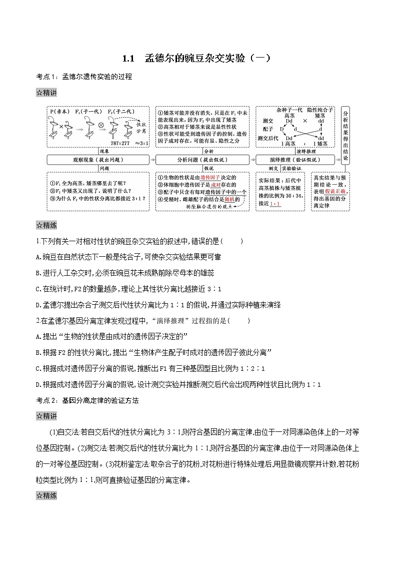 1.1 孟德尔的豌豆杂交实验（一）考点精讲精练（原卷版）第1页