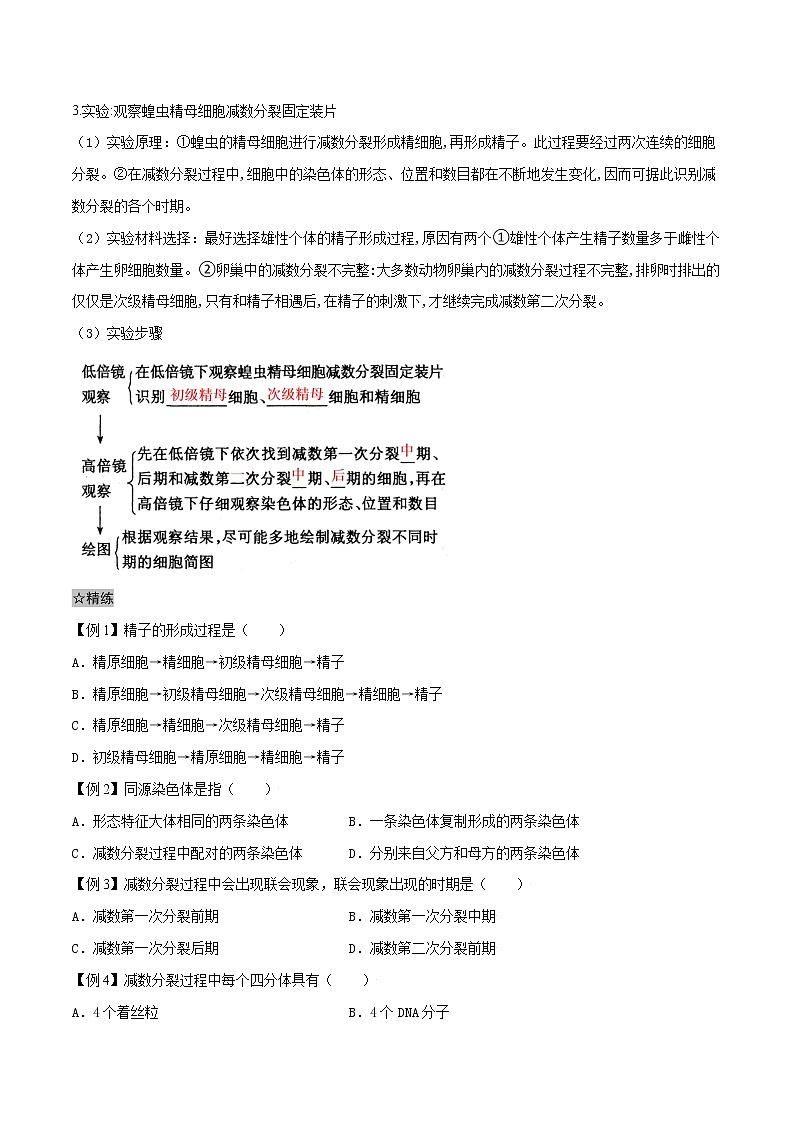 2.1 减数分裂和受精作用-2021-2022学年高一下学期生物同步考点精讲精练（人教版2019必修2）课件PPT02