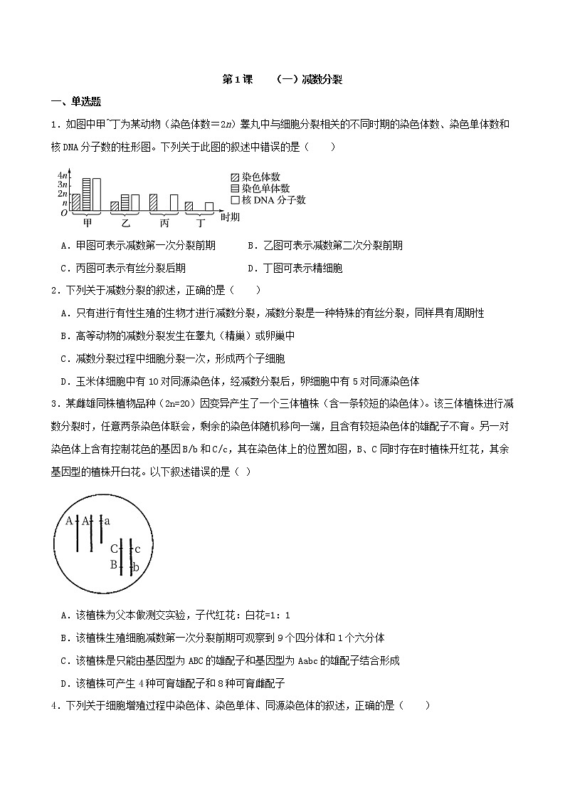 2.1 减数分裂和受精作用-2021-2022学年高一下学期生物同步考点精讲精练（人教版2019必修2）课件PPT01