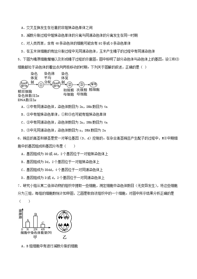 2.1 减数分裂和受精作用-2021-2022学年高一下学期生物同步考点精讲精练（人教版2019必修2）课件PPT02