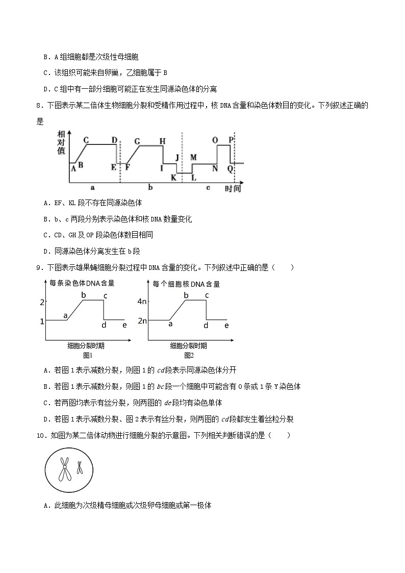 2.1 减数分裂和受精作用-2021-2022学年高一下学期生物同步考点精讲精练（人教版2019必修2）课件PPT03