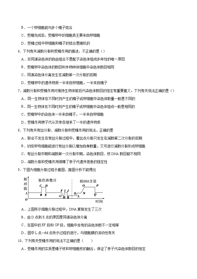 2.1 减数分裂和受精作用-2021-2022学年高一下学期生物同步考点精讲精练（人教版2019必修2）课件PPT02