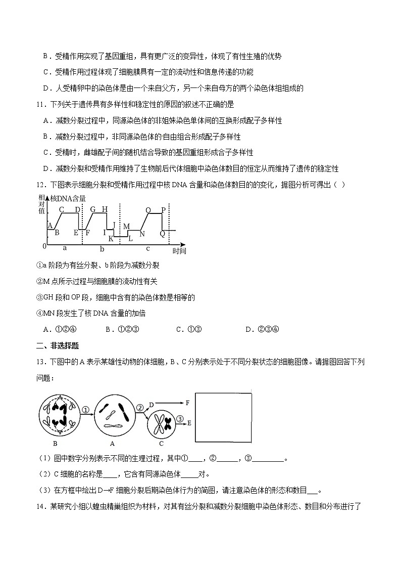 2.1 减数分裂和受精作用-2021-2022学年高一下学期生物同步考点精讲精练（人教版2019必修2）课件PPT03