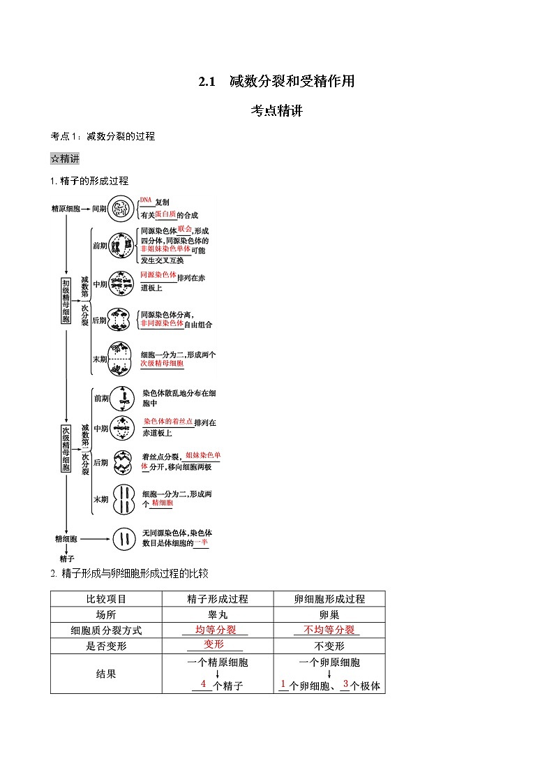 2.1 减数分裂和受精作用-2021-2022学年高一下学期生物同步考点精讲精练（人教版2019必修2）课件PPT01