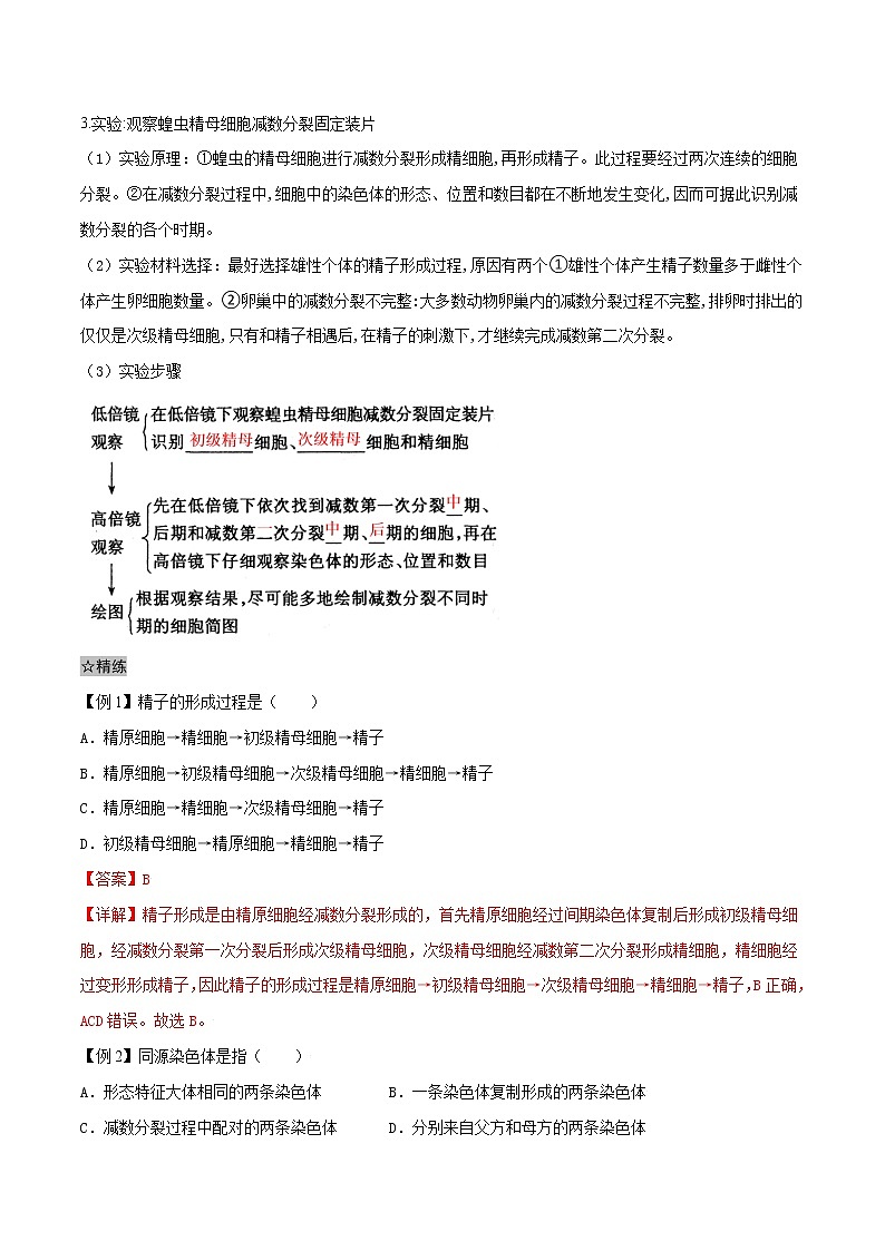 2.1 减数分裂和受精作用-2021-2022学年高一下学期生物同步考点精讲精练（人教版2019必修2）课件PPT02