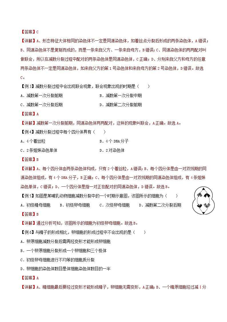 2.1 减数分裂和受精作用-2021-2022学年高一下学期生物同步考点精讲精练（人教版2019必修2）课件PPT03