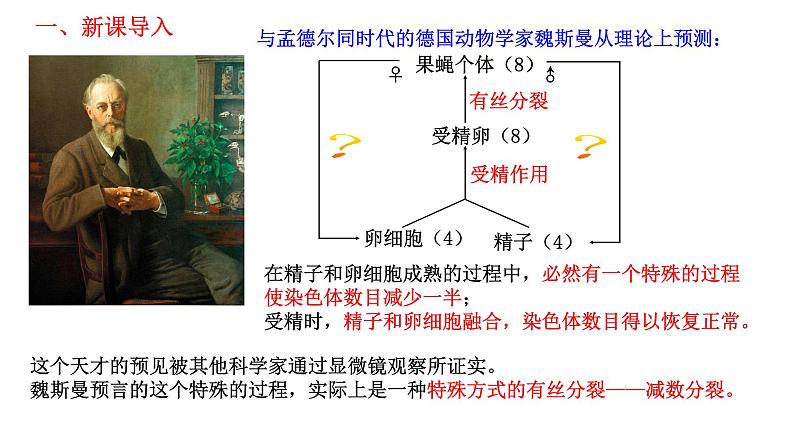 2.1 减数分裂和受精作用-2021-2022学年高一下学期生物同步考点精讲精练（人教版2019必修2）课件PPT03