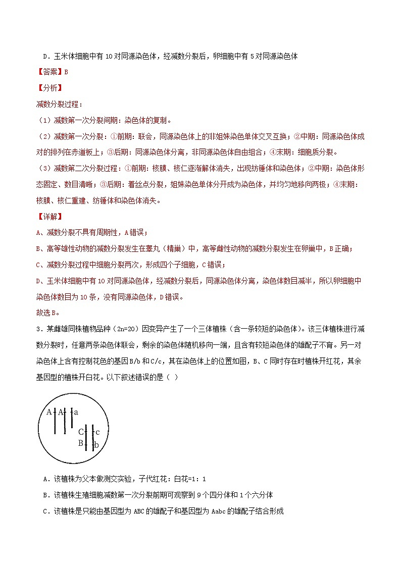 2.1 减数分裂和受精作用-2021-2022学年高一下学期生物同步考点精讲精练（人教版2019必修2）课件PPT02