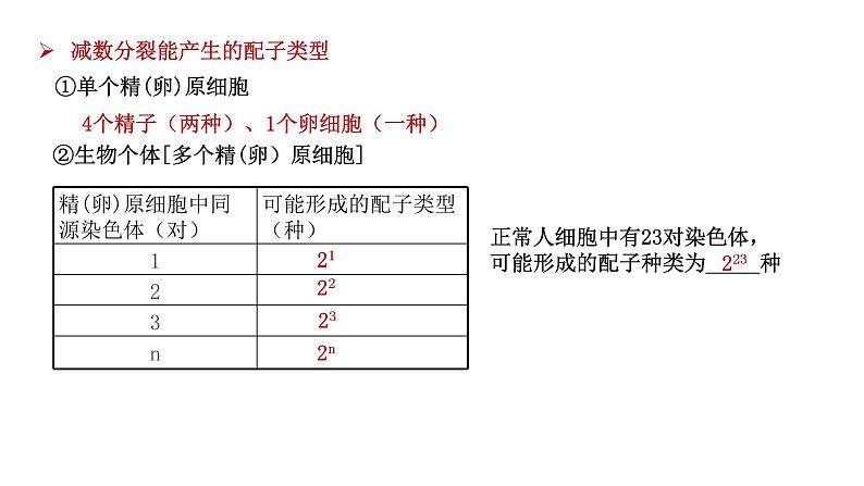 2.1 减数分裂和受精作用-2021-2022学年高一下学期生物同步考点精讲精练（人教版2019必修2）课件PPT06