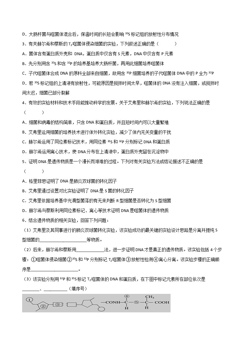 第三章 章节复习与检测-2021-2022学年高一下学期生物同步考点精讲精练（人教版2019必修2）课件PPT02