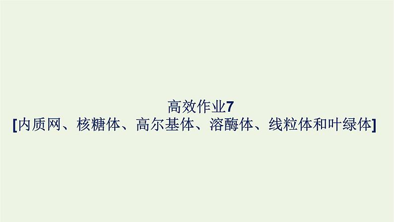 2021_2022学年新教材高中生物高效作业7内质网核糖体高尔基体溶酶体线粒体和叶绿体课件浙科版必修第一册01