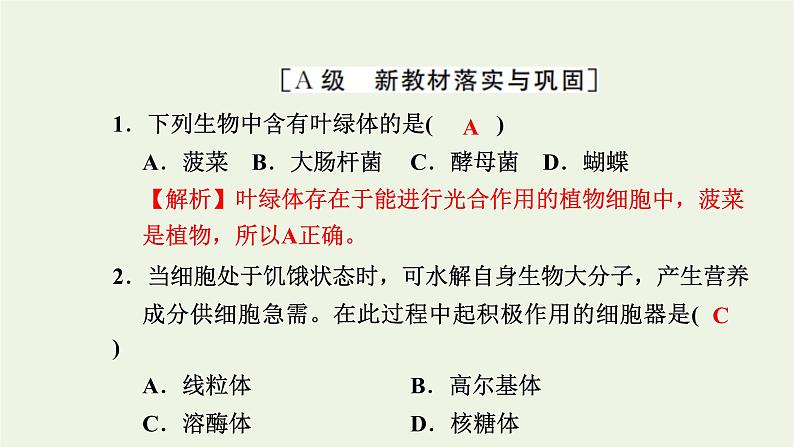 2021_2022学年新教材高中生物高效作业7内质网核糖体高尔基体溶酶体线粒体和叶绿体课件浙科版必修第一册02