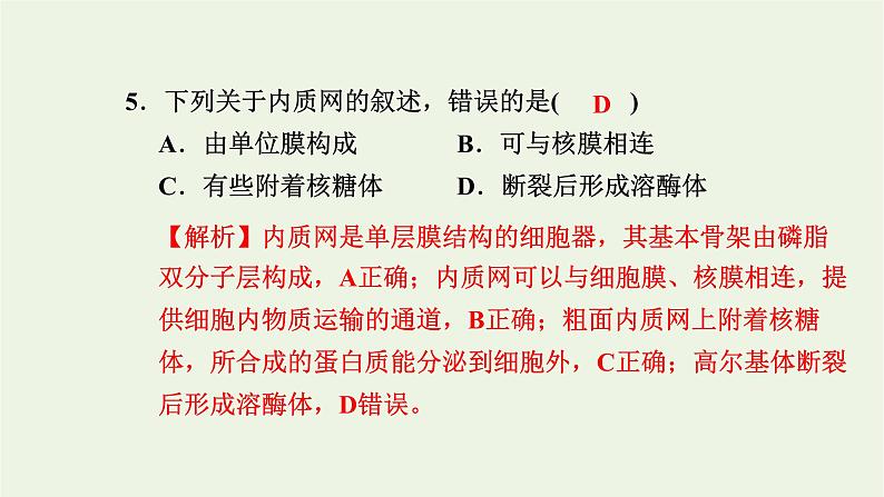 2021_2022学年新教材高中生物高效作业7内质网核糖体高尔基体溶酶体线粒体和叶绿体课件浙科版必修第一册06