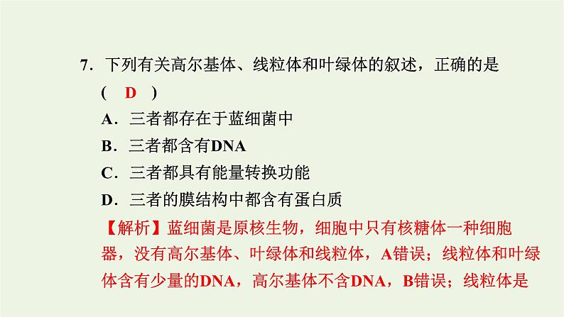 2021_2022学年新教材高中生物高效作业7内质网核糖体高尔基体溶酶体线粒体和叶绿体课件浙科版必修第一册08