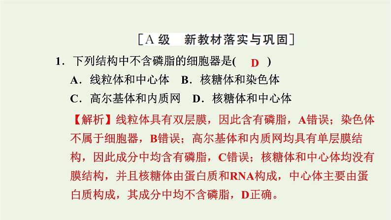 2021_2022学年新教材高中生物高效作业8液泡中心体细胞溶胶细胞骨架观察叶绿体和细胞质流动课件浙科版必修第一册第2页