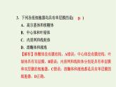 2021_2022学年新教材高中生物高效作业8液泡中心体细胞溶胶细胞骨架观察叶绿体和细胞质流动课件浙科版必修第一册