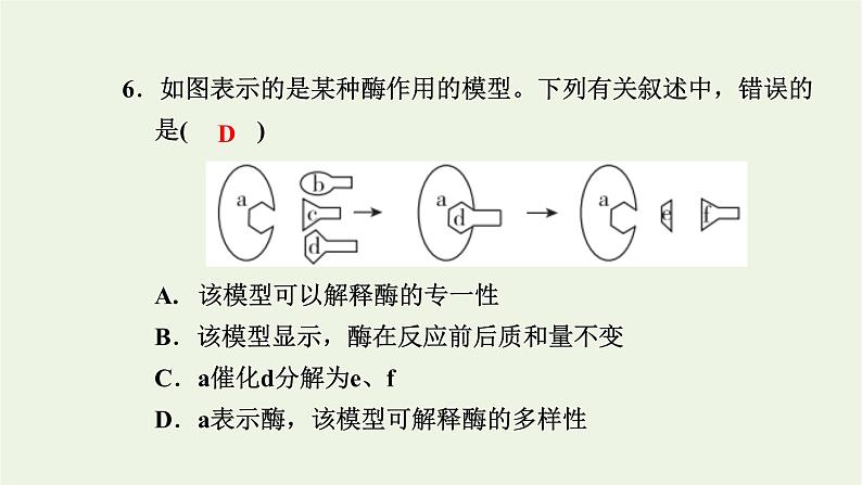 2021_2022学年新教材高中生物高效作业13酶的概念及专一性和高效性课件浙科版必修第一册07