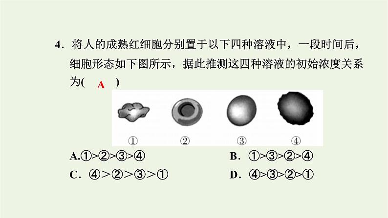 2021_2022学年新教材高中生物高效作业15扩散和渗透质壁分离及质壁分离复原实验课件浙科版必修第一册05