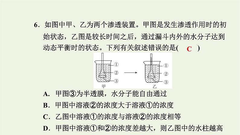 2021_2022学年新教材高中生物高效作业15扩散和渗透质壁分离及质壁分离复原实验课件浙科版必修第一册08