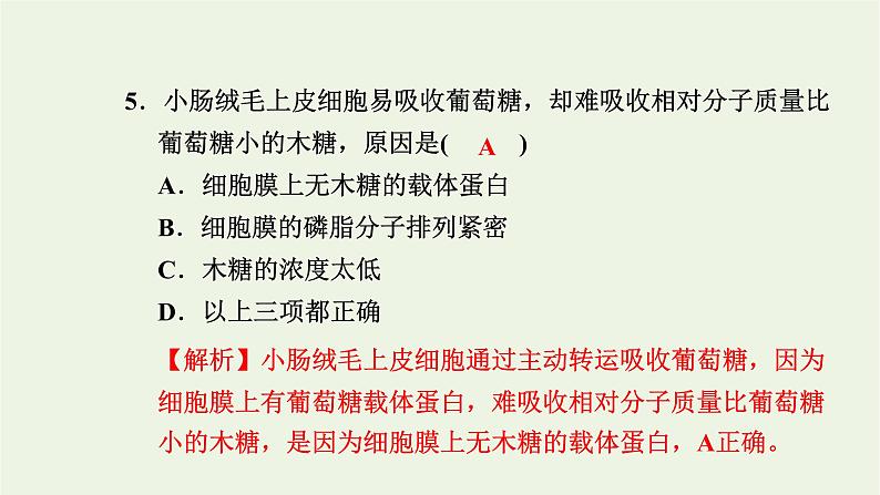 2021_2022学年新教材高中生物高效作业16易化扩散主动转运胞吞和胞吐课件浙科版必修第一册第6页