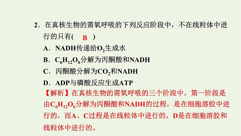 2021_2022学年新教材高中生物高效作业17细胞呼吸的过程课件浙科版必修第一册第3页